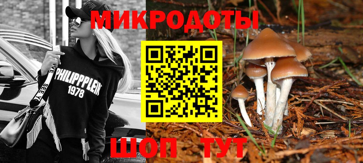 Галлюциногенные грибы GOLDEN TEACHER Новочеркасск