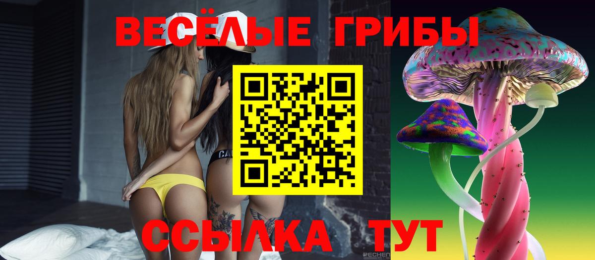 Псилоцибиновые грибы Cubensis  Вход с VPN  Новочеркасск 